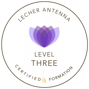 Lecher Antenna formation Level Three - certified formation